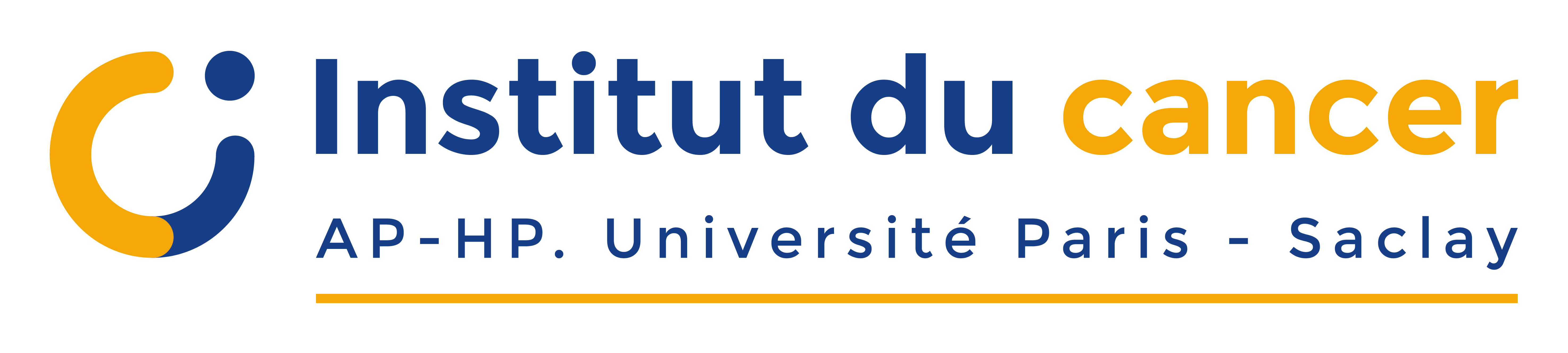 2024-10-17-logo-institut-du-cancer