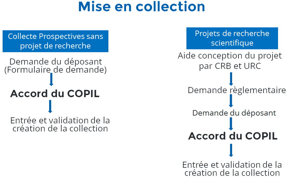 Mise en collection
