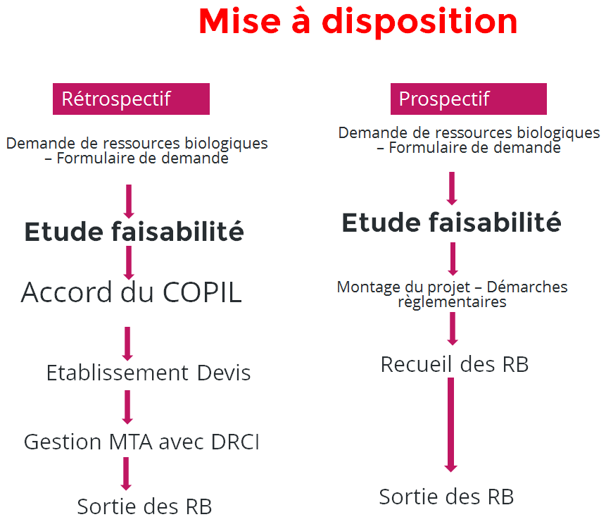 mise à disposition
